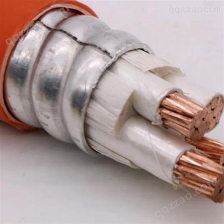  弘泰线缆一枝秀 氧化镁矿物质防火电缆
