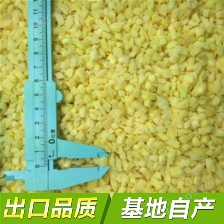 速冻冷冻单冻IQF大姜 姜丁 工厂供应 脱水蔬菜加工