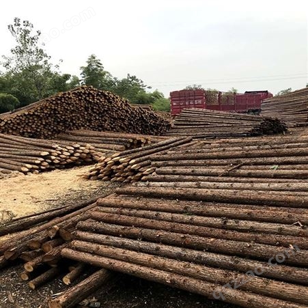 杉木桩 长期供应杉木高压线防护 河道打桩木防腐蚀耐高温