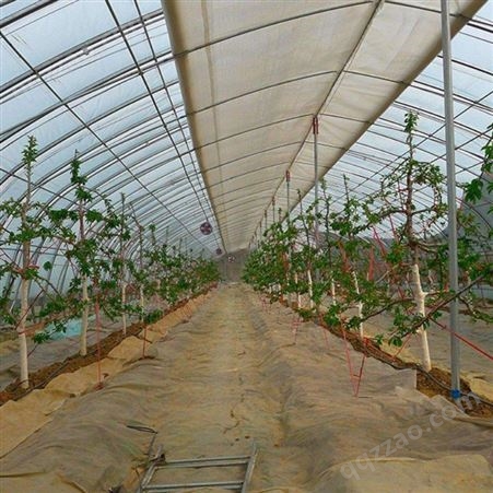 蔬菜温室大棚蔬菜种植大棚制造厂家 聚丰