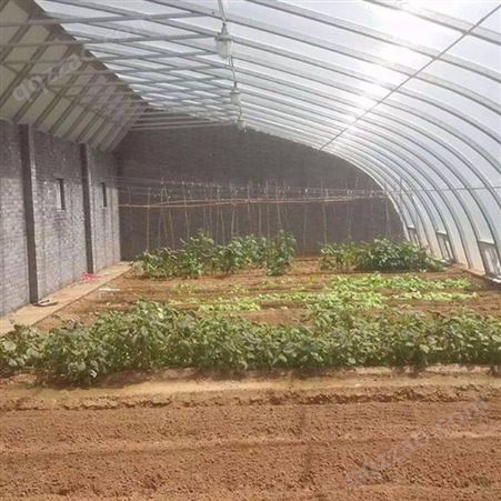 蔬菜温室大棚种植大棚制作 聚丰 爱尔兰大棚种植大棚