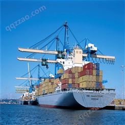 广州到中东海运散货运输 国际货物运输 服务