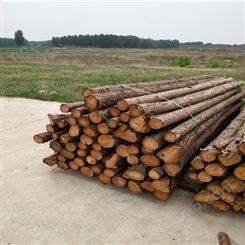 杉木桩厂家批发,松木桩价格,杉木 ,杉木地板厂家定制