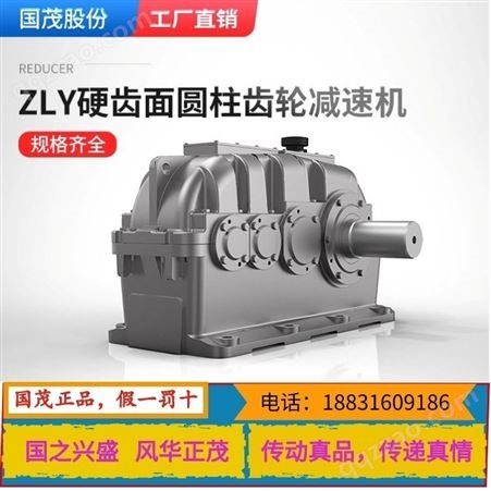 国茂减速机ZSY315-食品工业粉碎机搅拌混合机
