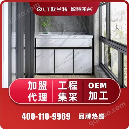 OWB5C阳台柜 洗衣台柜 规格多样新品 阳台洗衣柜定制