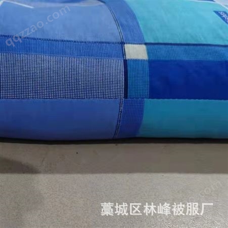 单位宿舍工地用单人荞麦皮枕头 舒适熟睡 多种颜色可选