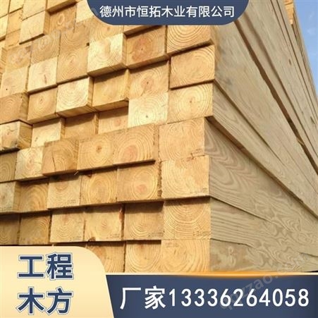 建筑模板木方 木条批发市场 铁杉 樟子松建筑木材