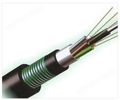 8芯室外光缆铠装层绞式单模光纤GYTA53光缆线双铠双护套
