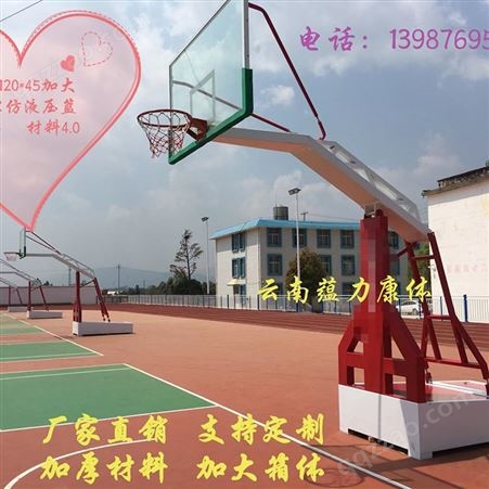 蕴力康体 成人标准户外篮球架 可移动学校比赛篮球架 240*120*45