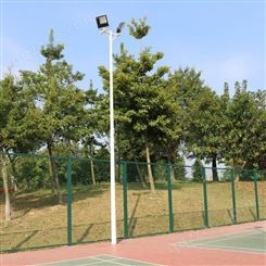 桂林荔蒲足球场灯杆安装图6.8.10.12.15.米
